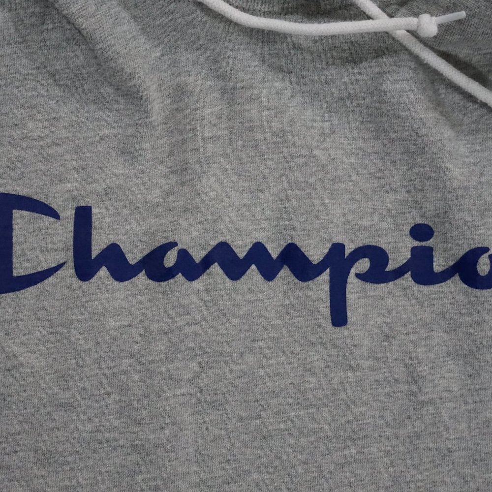 Champion Men's Fleece PowerBlend Logo Pullover Hoodie Grey Medium - Picture 3 of 6